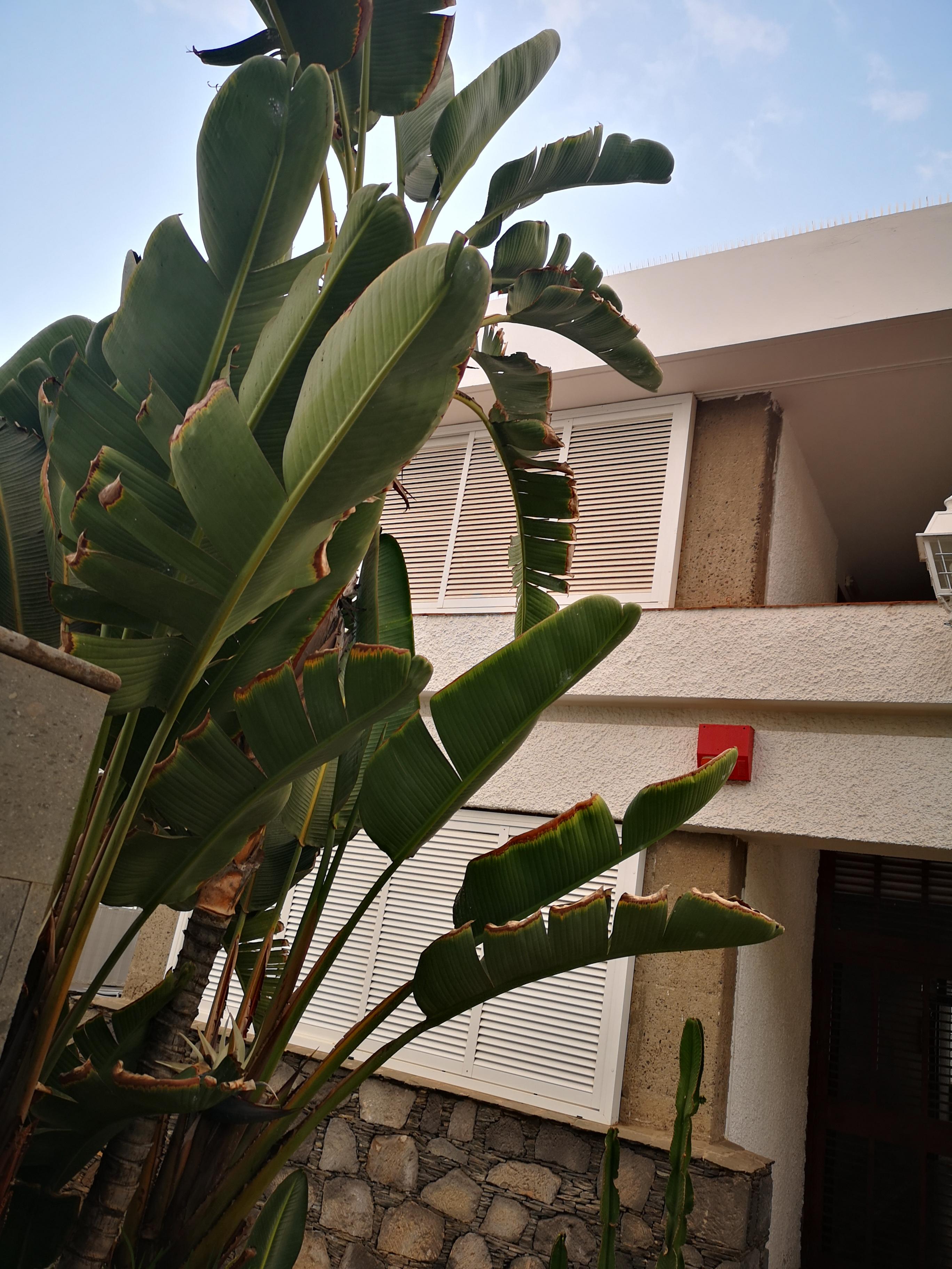 Apartamentos Tamara Μασπαλόμας Εξωτερικό φωτογραφία